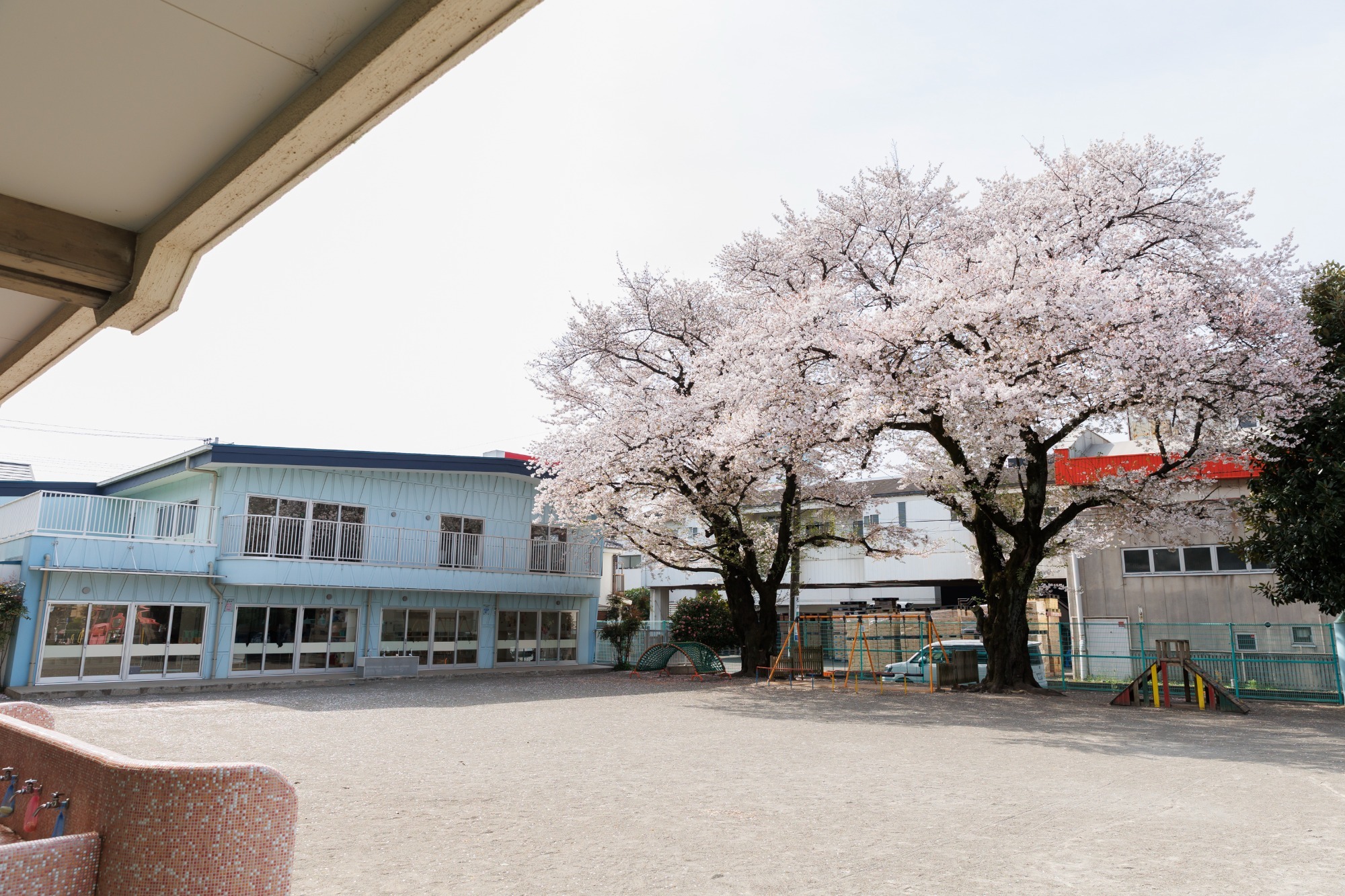 ほめる、のばす教育が基本です！